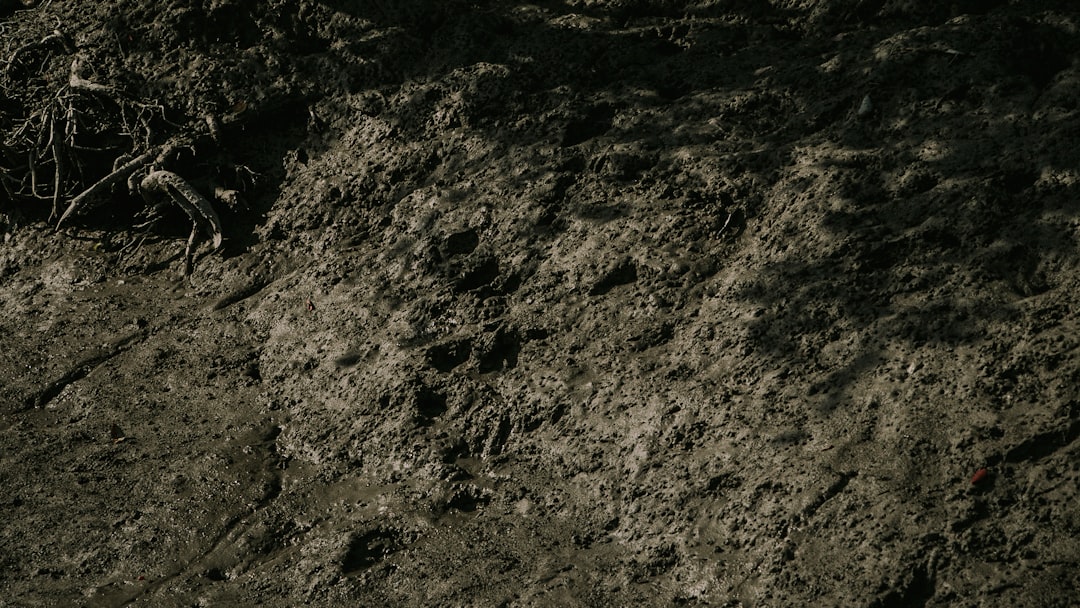 Tutanota, how to secure mail Tutanota, backup strategy with dedupe and immutable storage