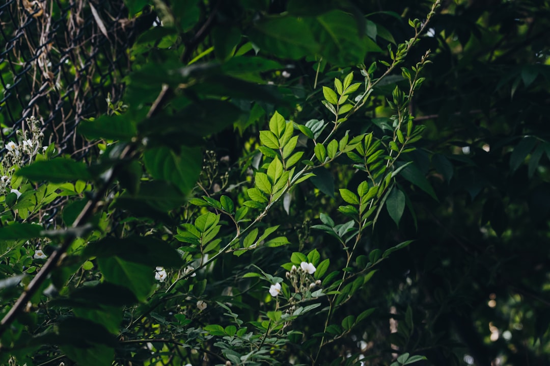 Tutanota, why does it fail Tutanota, troubleshooting login errors and sync timeouts